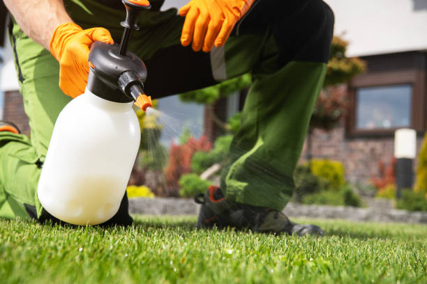 Reliable Poteau, OK Pest Control Solutions